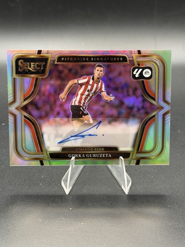 Gorka guruzeta panini - gorka,
